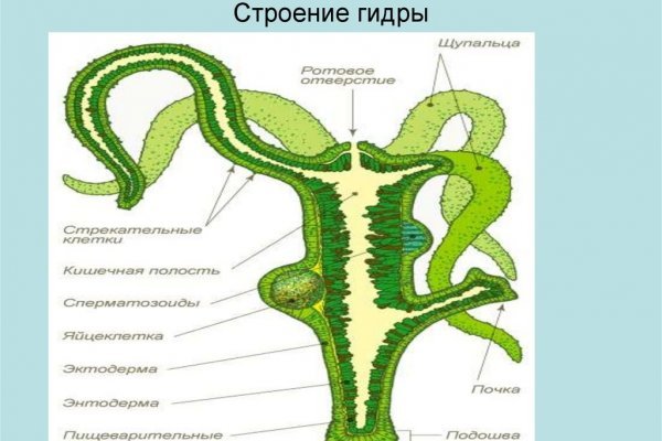 Кракен 22
