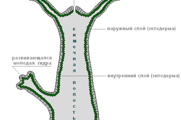 Даркнет площадки