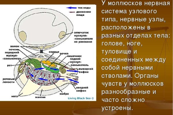 Войти в кракен